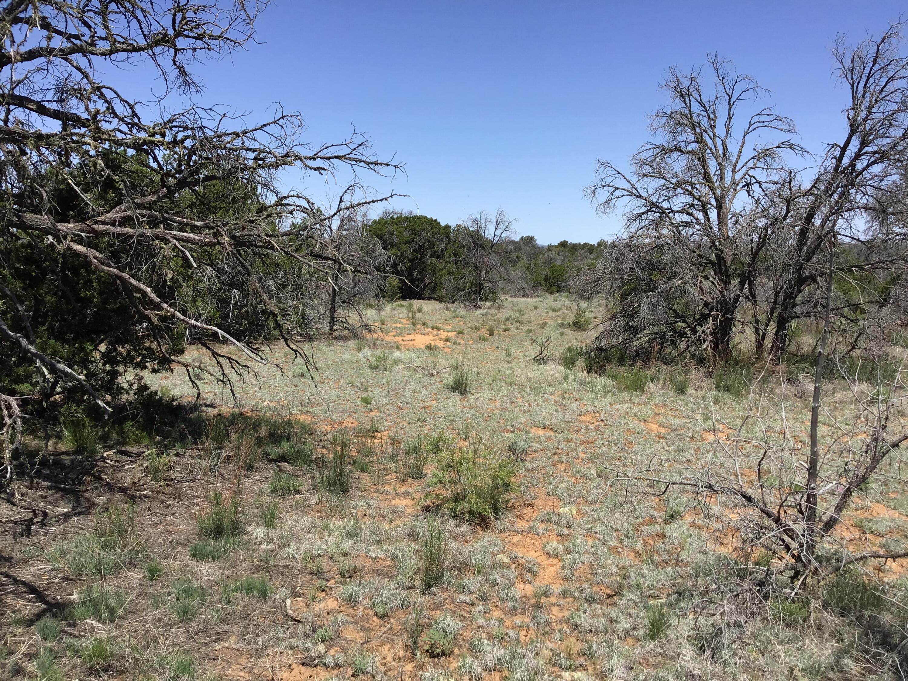 Lot 31 Country Lane, Ramah, New Mexico image 10