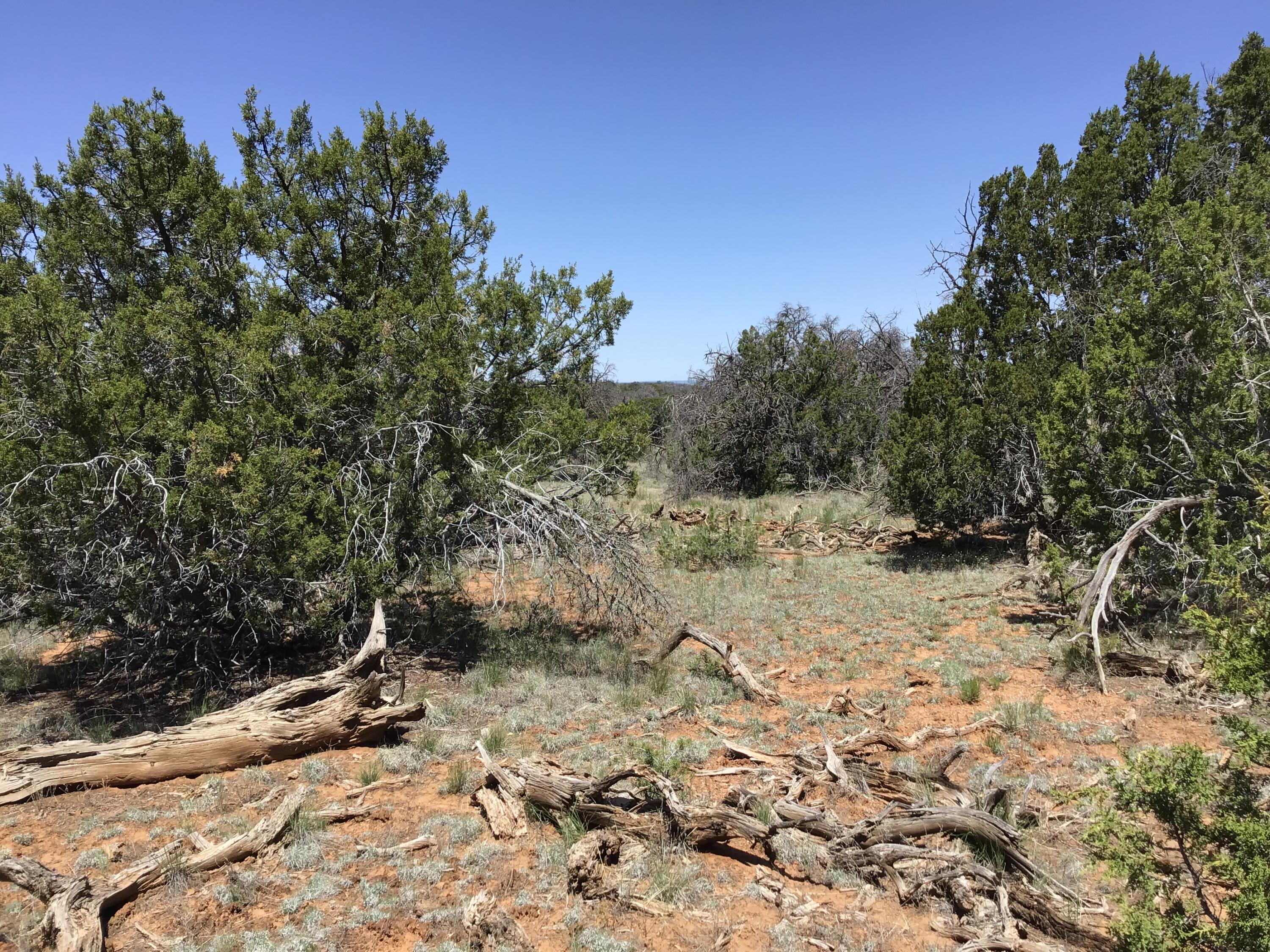 Lot 31 Country Lane, Ramah, New Mexico image 16