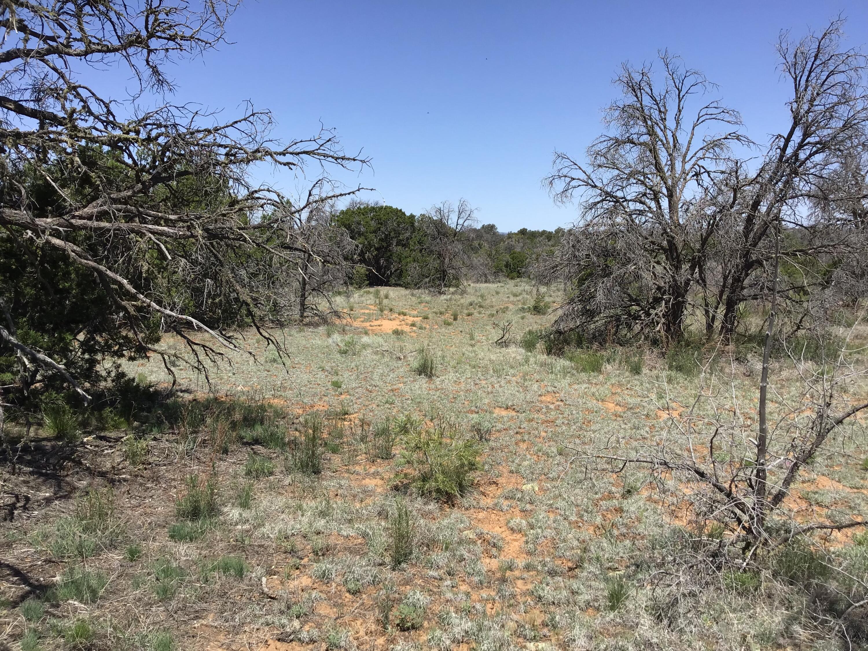 Lot 31 Country Lane, Ramah, New Mexico image 9