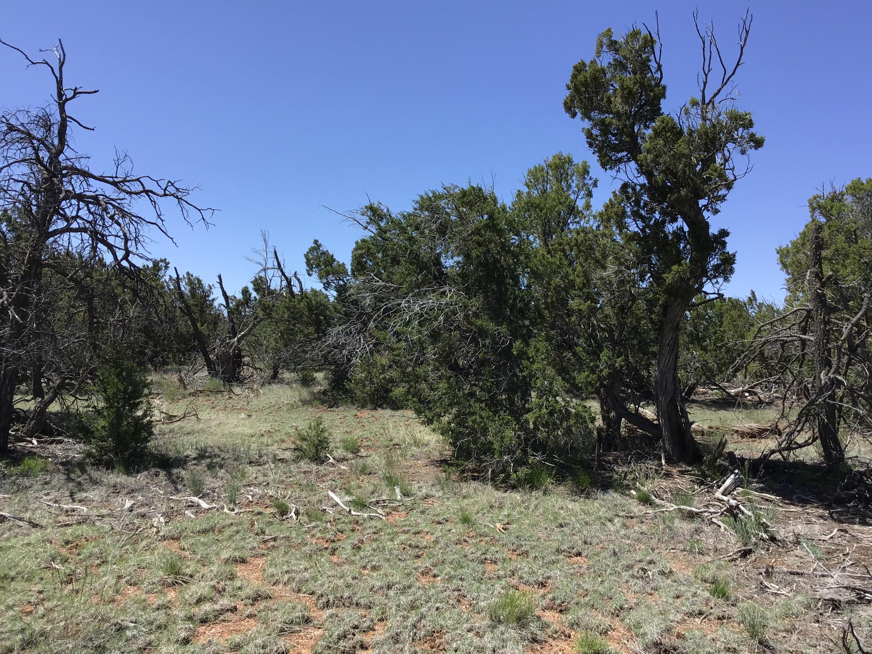 Lot 31 Country Lane, Ramah, New Mexico image 22