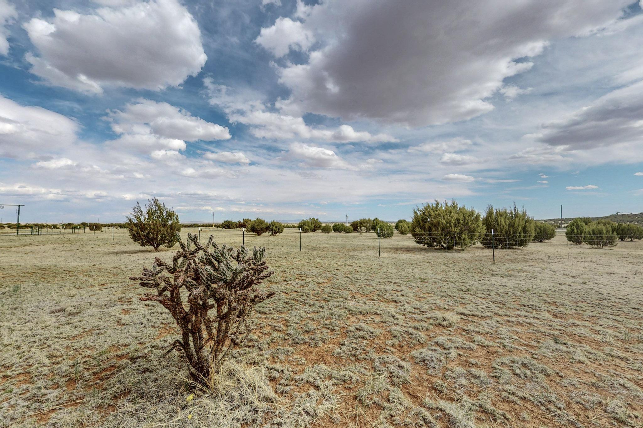 8860 State Hwy 55, Estancia, New Mexico image 35