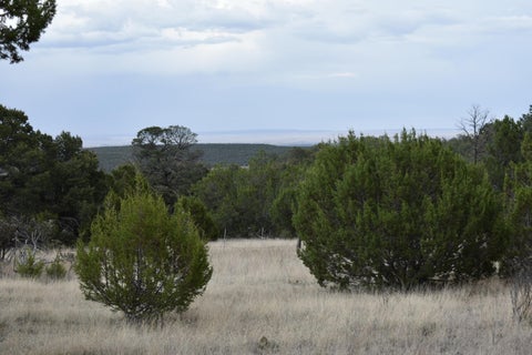 Vacant Land For Sale - 184 Sunlight Road<br/> Edgewood, NM 87015