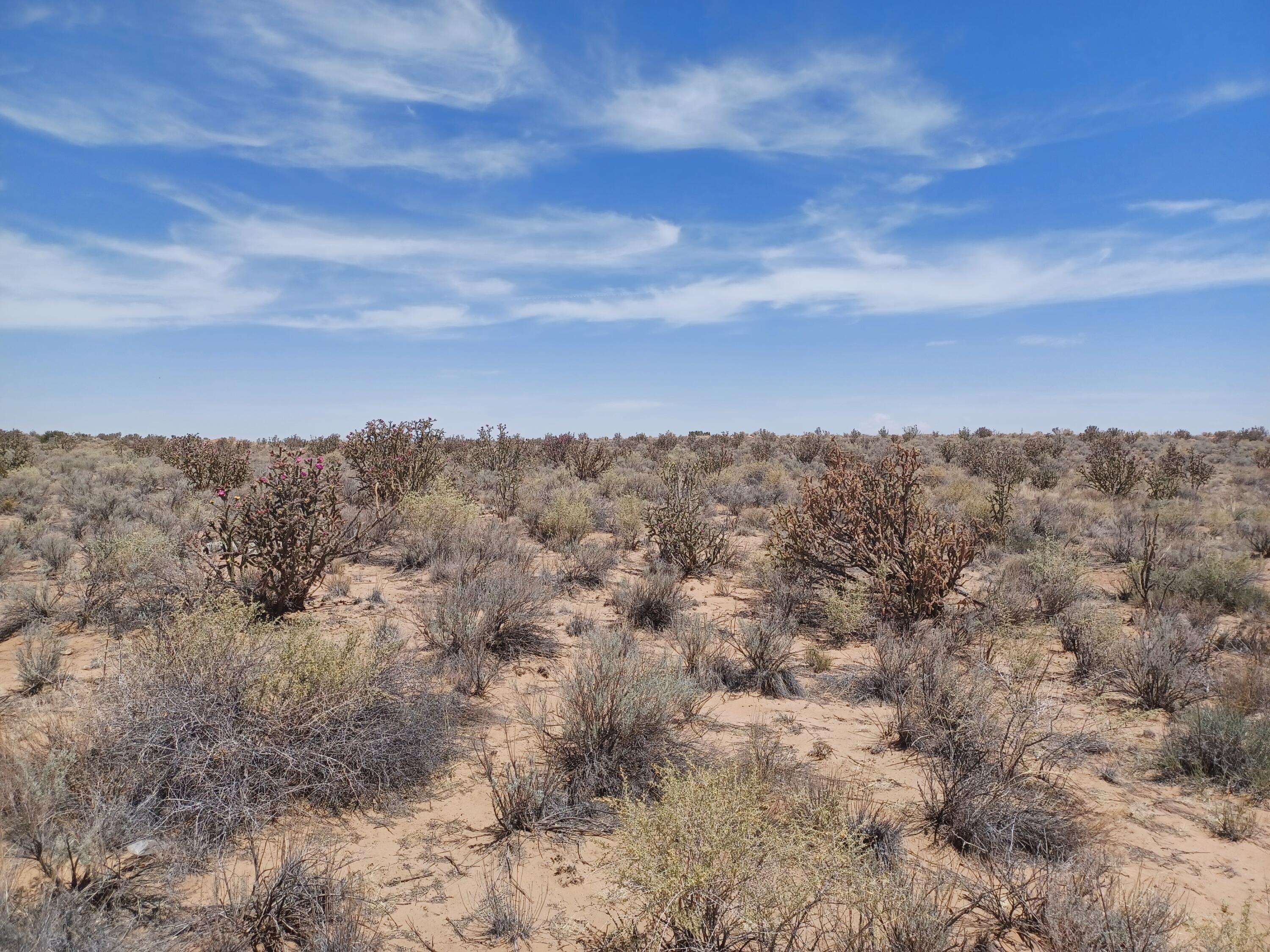 Cinnamon Road, Rio Rancho, New Mexico image 6