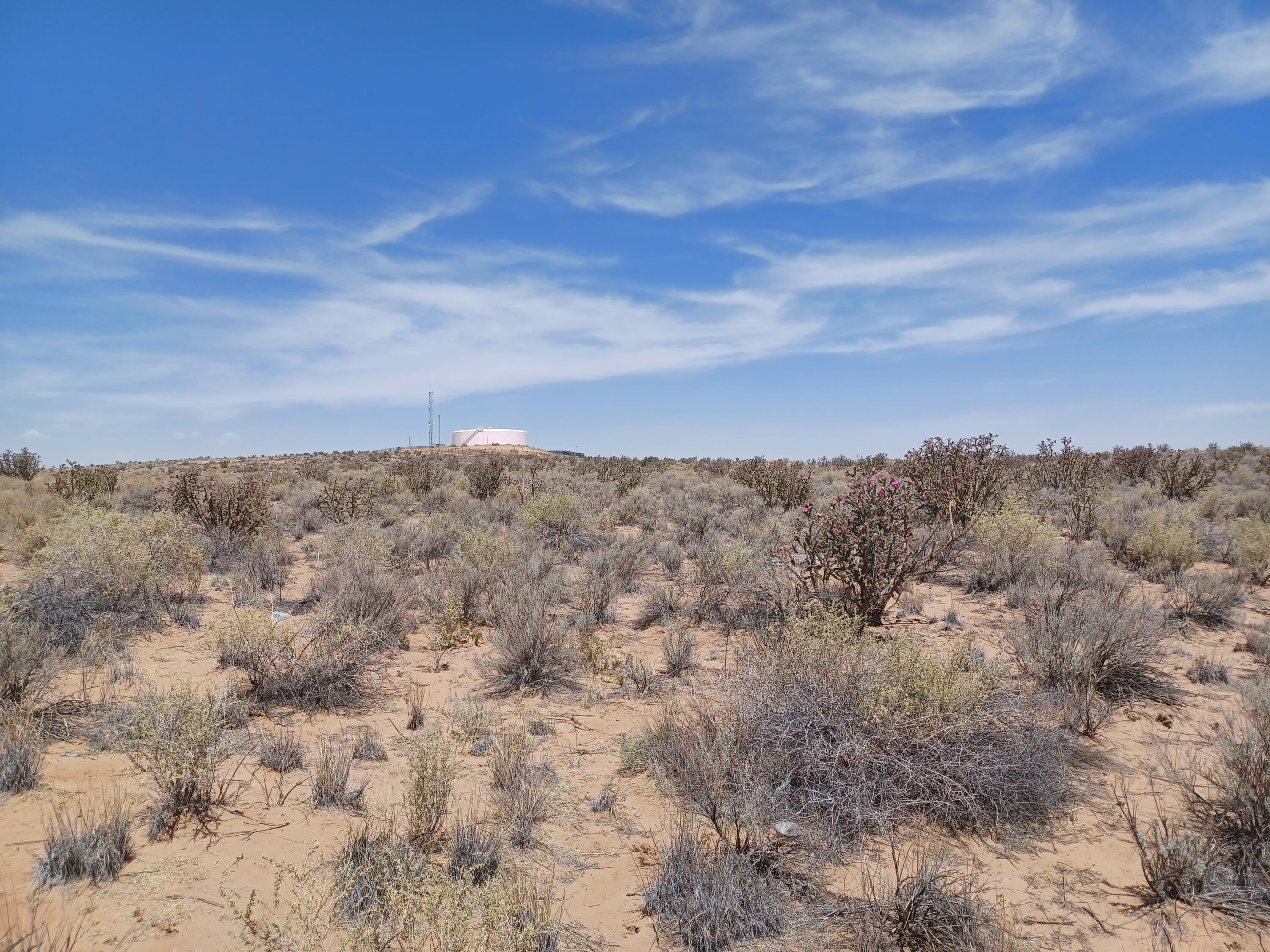 Cinnamon Road, Rio Rancho, New Mexico image 7