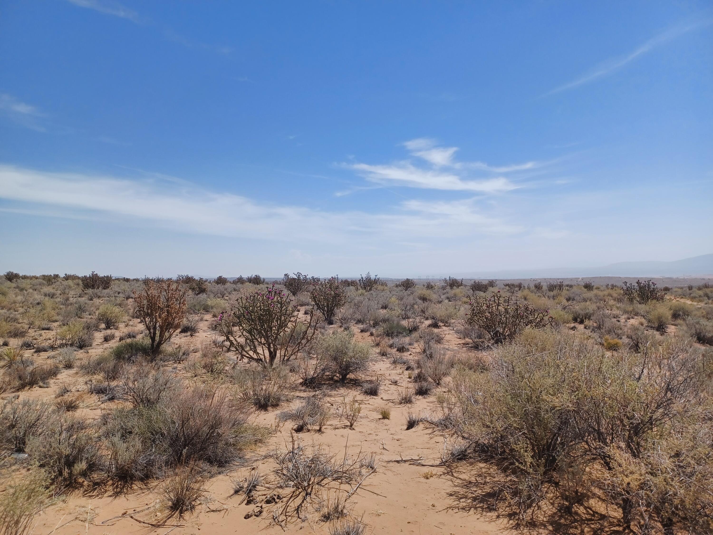 Cinnamon Road, Rio Rancho, New Mexico image 5