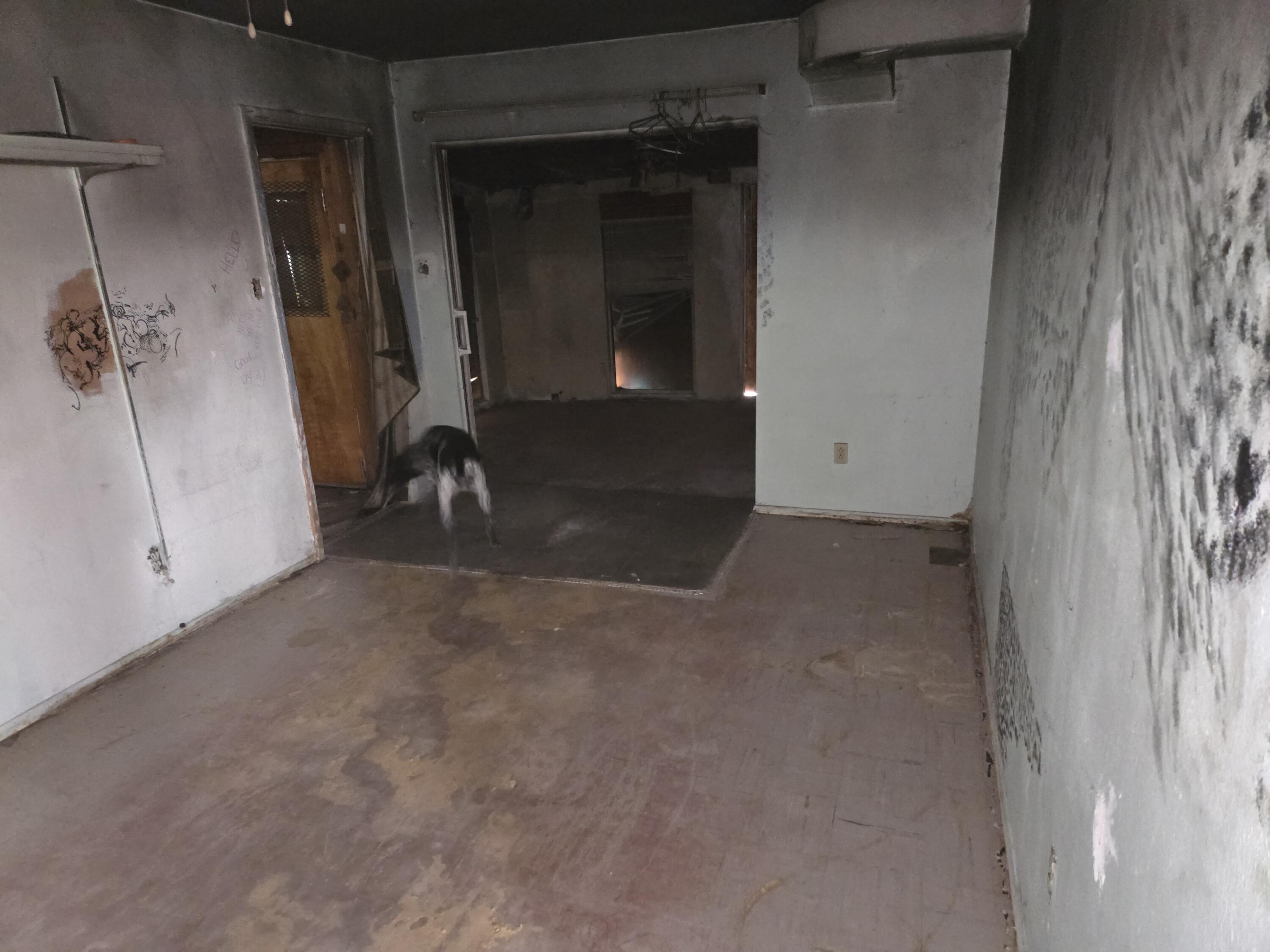 3021 La Loma Road, Albuquerque, New Mexico image 4