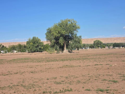 Vacant Land For Sale - VL Land Of Atalio Chavez Tract: A #E-5-18<br/> Valencia County, Bosque, NM 87006
