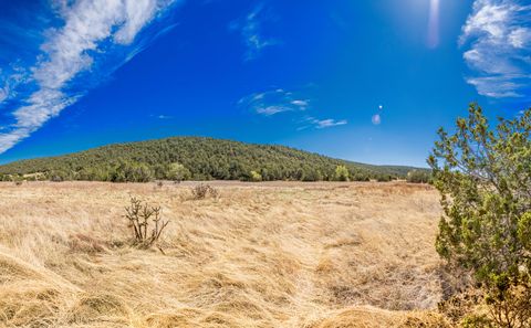 Vacant Land For Sale - 70 Vidalia Road<br/> Torrance County, Edgewood, NM 87015