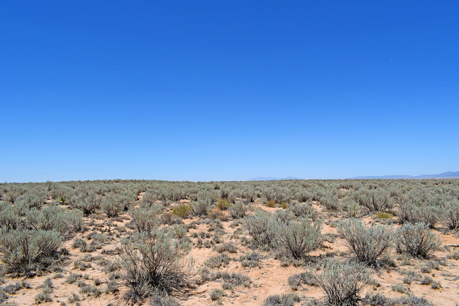 Lot 16 Rio Grande Estates #U, Rio Communities, New Mexico image 7