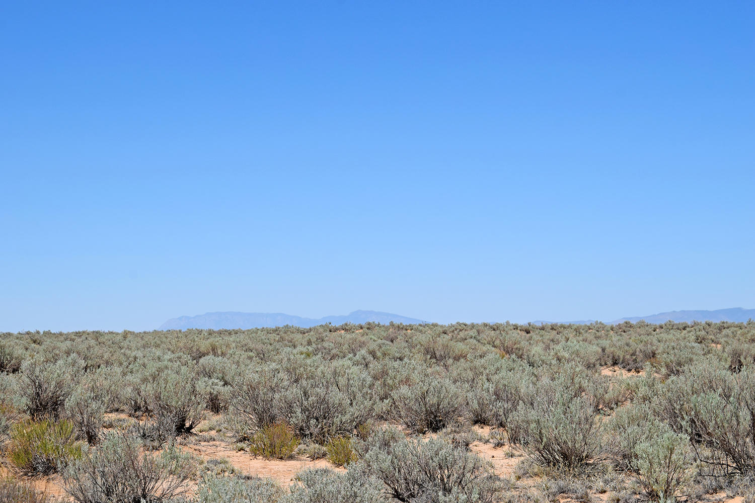 Lot 16 Rio Grande Estates #U, Rio Communities, New Mexico image 8