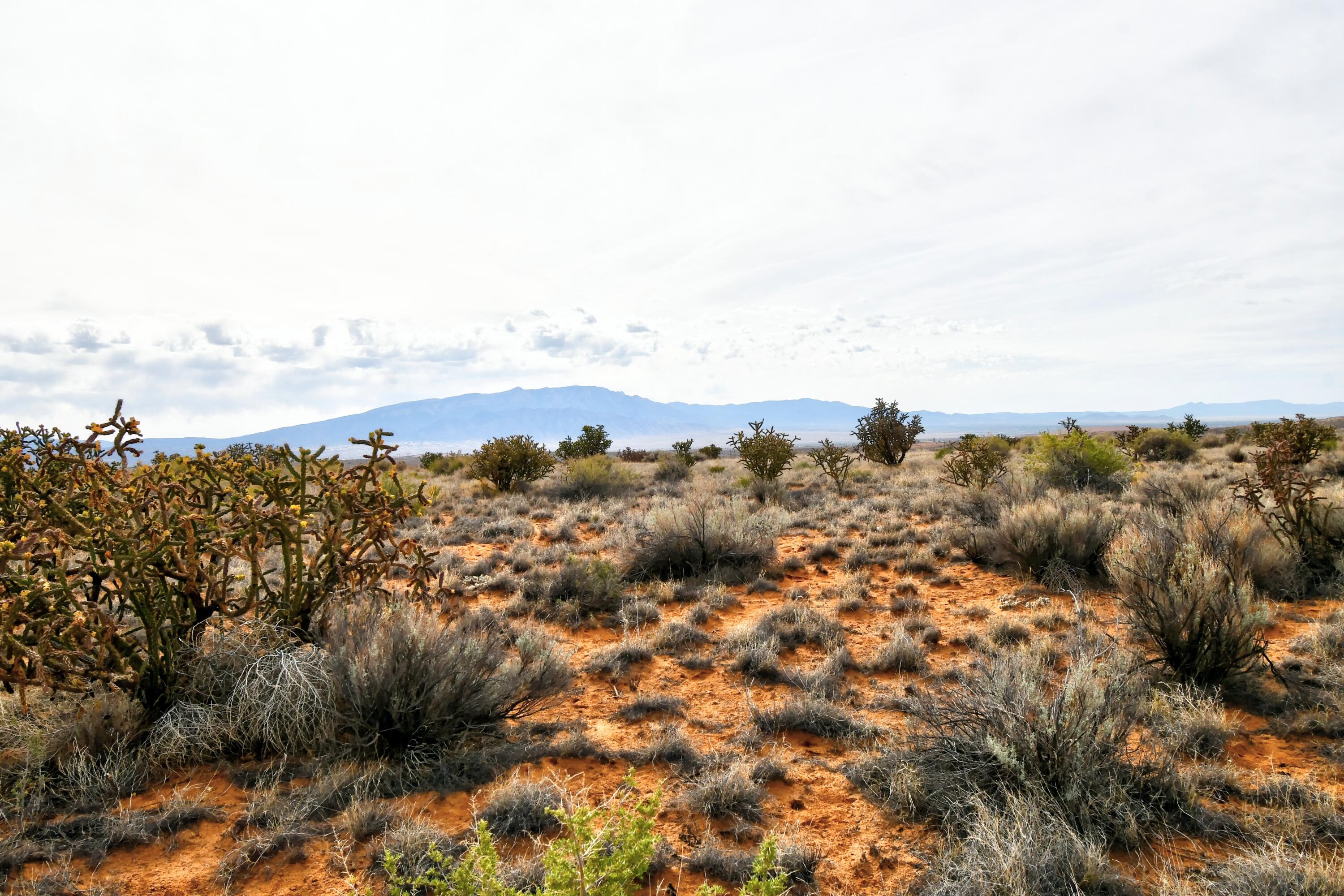 4521 Diane Street NE