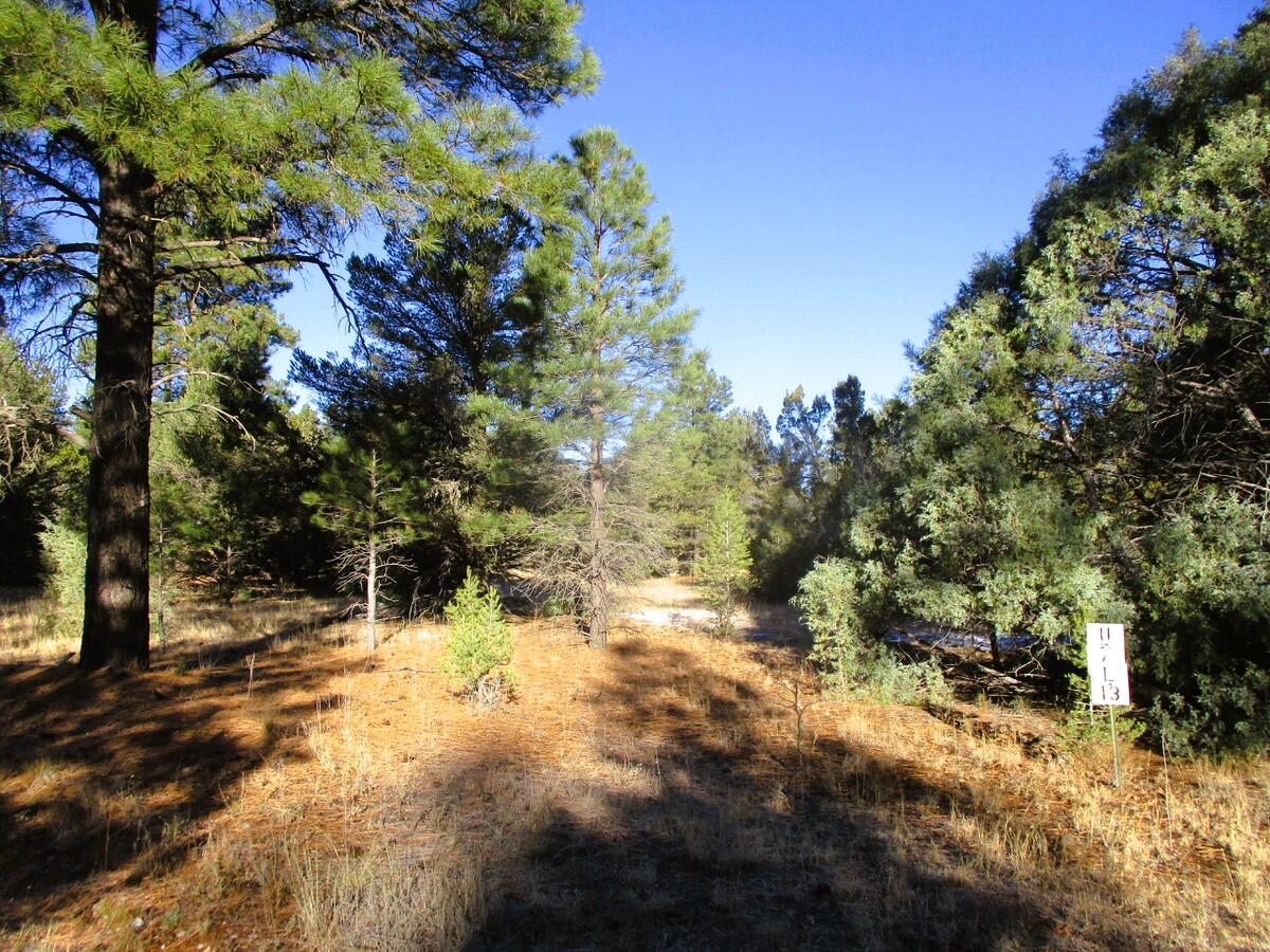 Lot 13 Culebra Drive, Ramah, New Mexico image 46