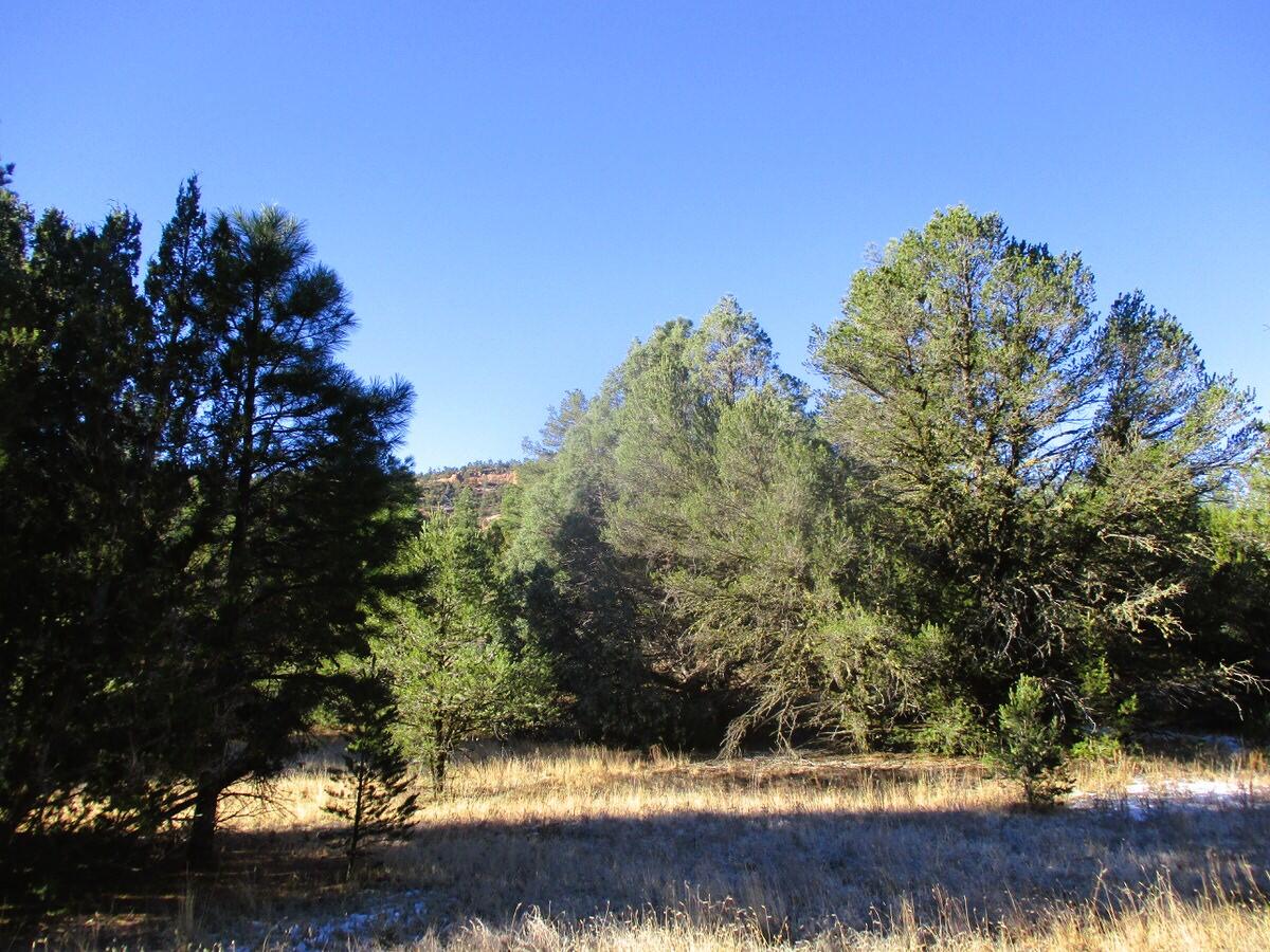 Lot 13 Culebra Drive, Ramah, New Mexico image 43