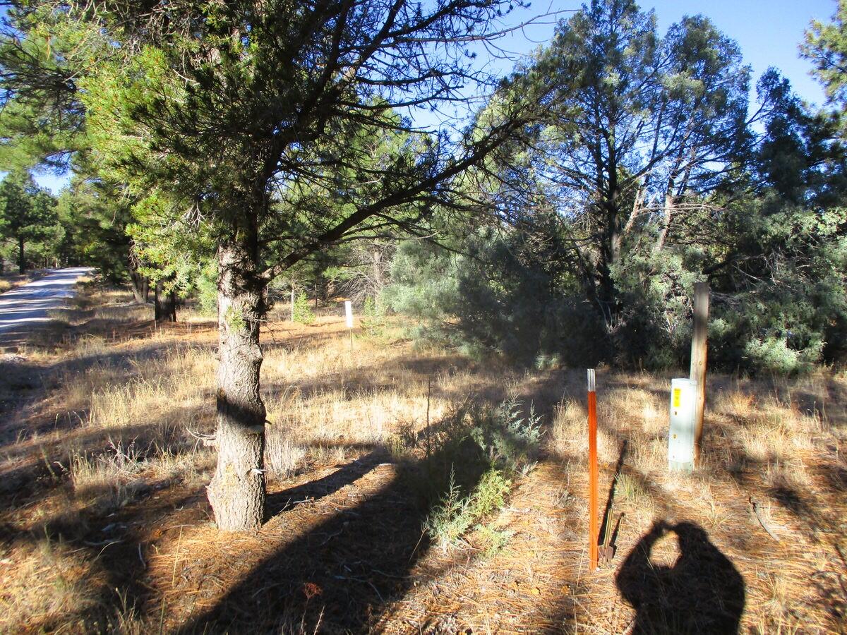 Lot 13 Culebra Drive, Ramah, New Mexico image 47