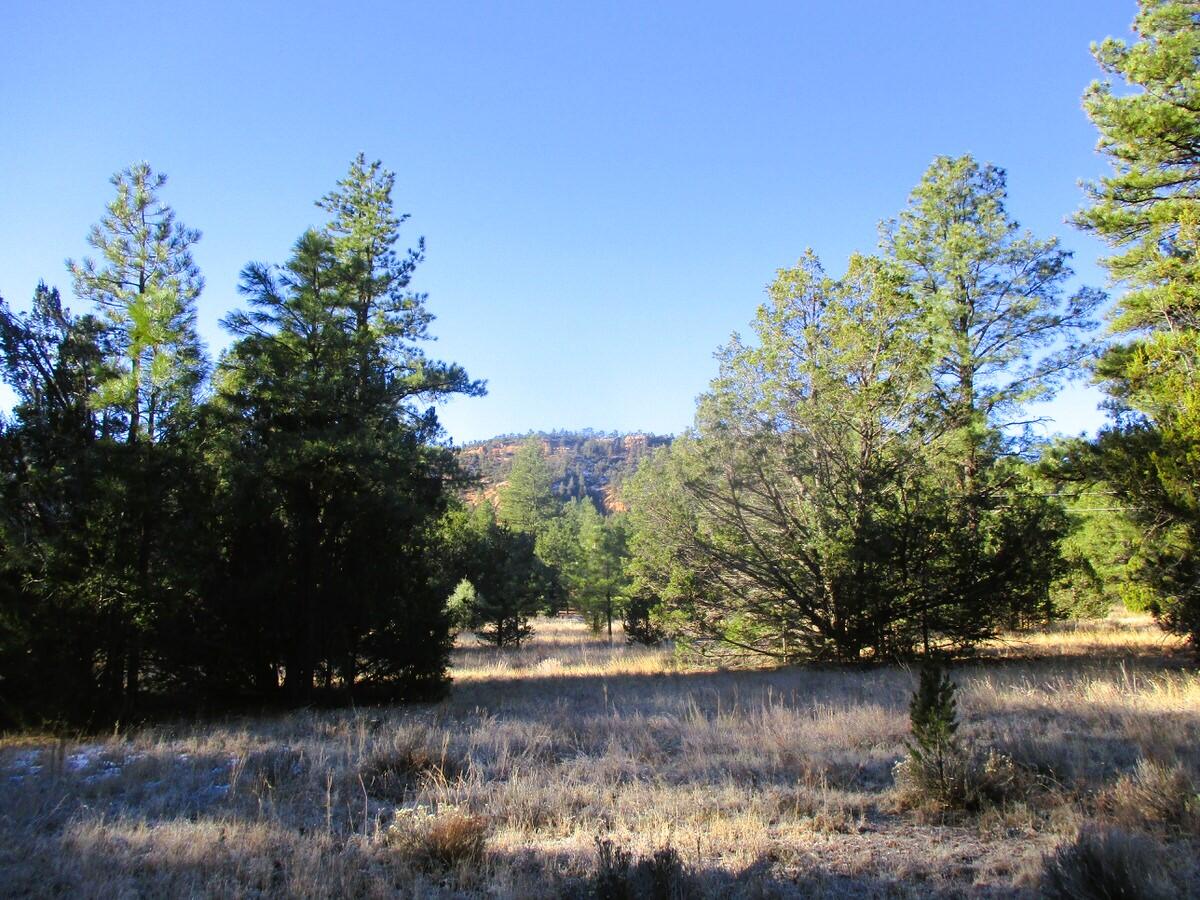 Lot 13 Culebra Drive, Ramah, New Mexico image 39