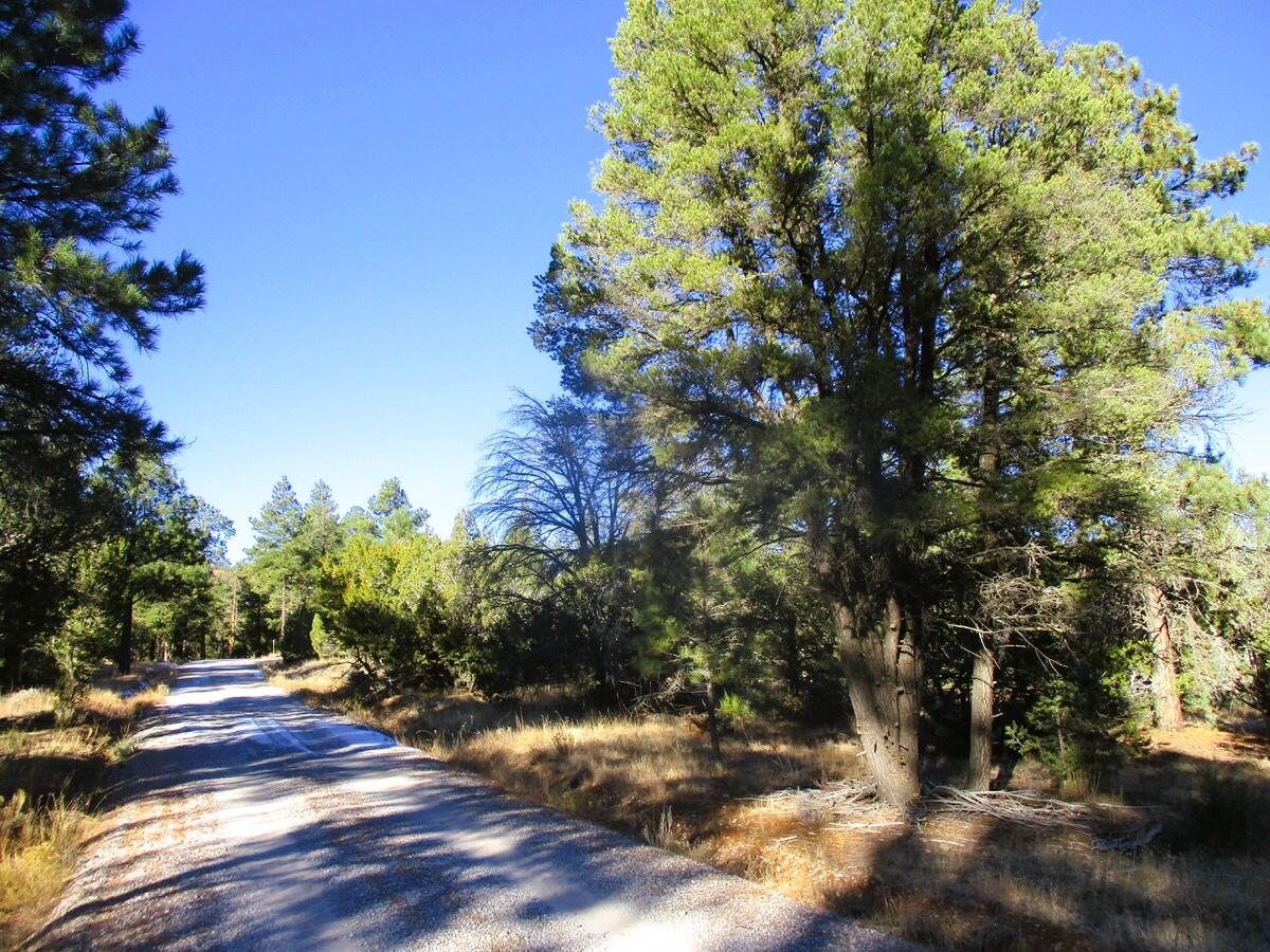 Lot 13 Culebra Drive, Ramah, New Mexico image 44