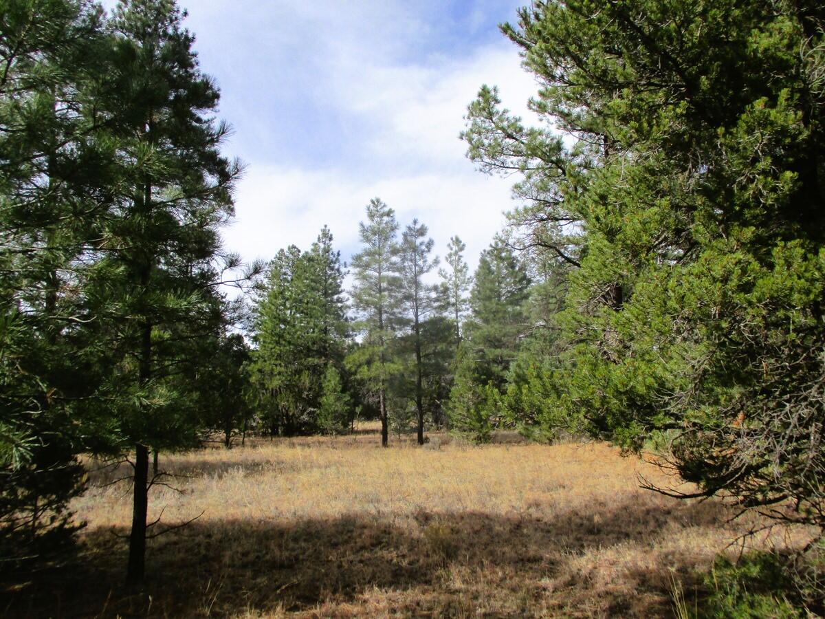 Lot 13 Culebra Drive, Ramah, New Mexico image 19