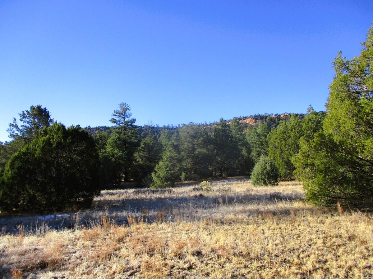 Lot 13 Culebra Drive, Ramah, New Mexico image 41