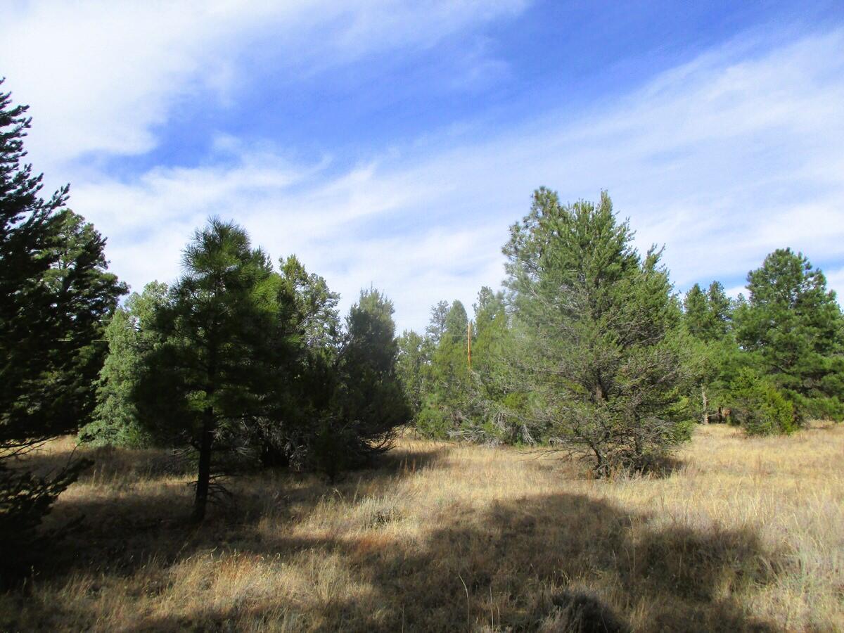 Lot 13 Culebra Drive, Ramah, New Mexico image 21