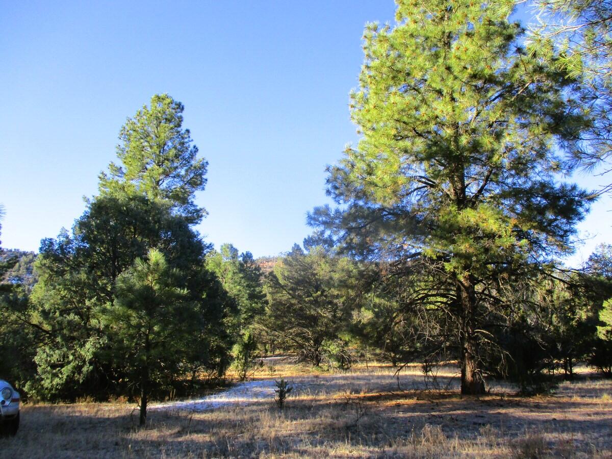 Lot 13 Culebra Drive, Ramah, New Mexico image 28