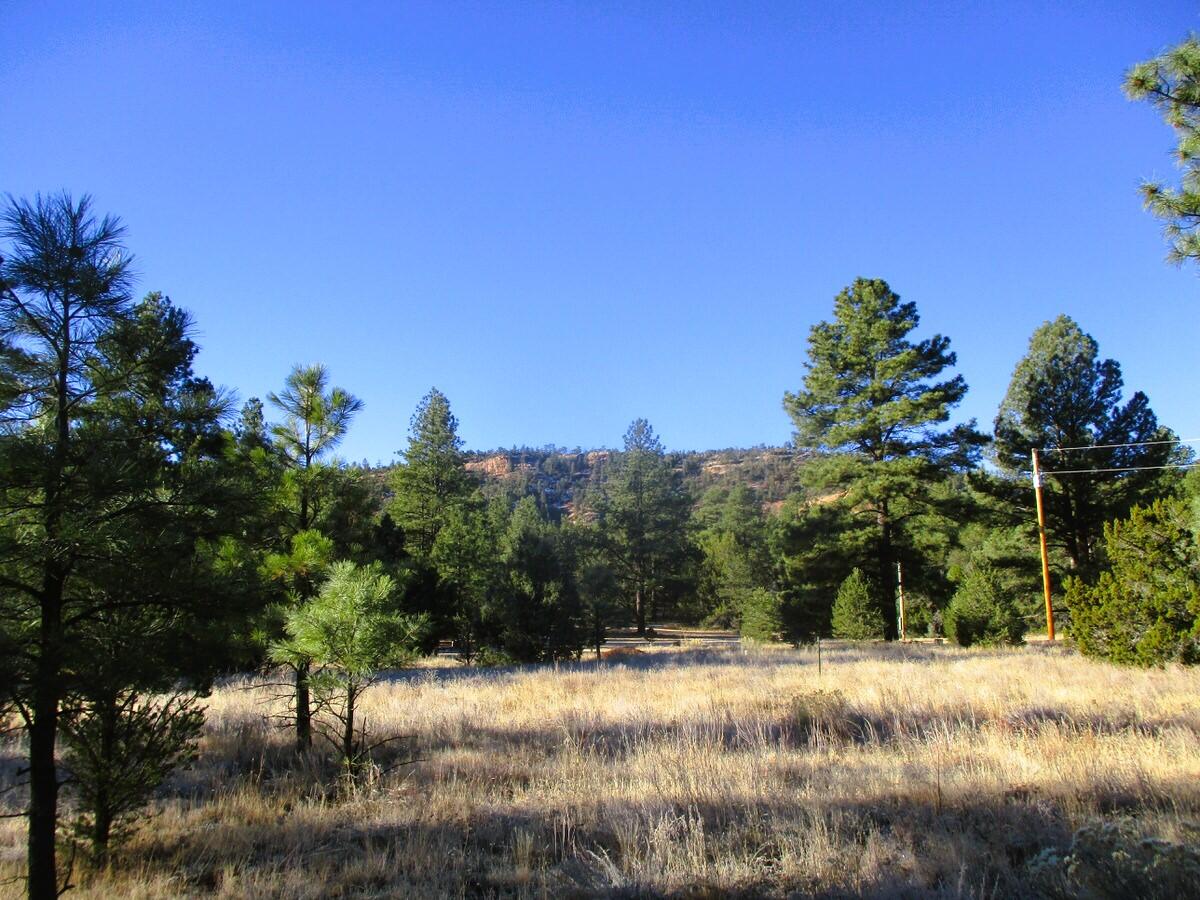 Lot 13 Culebra Drive, Ramah, New Mexico image 1