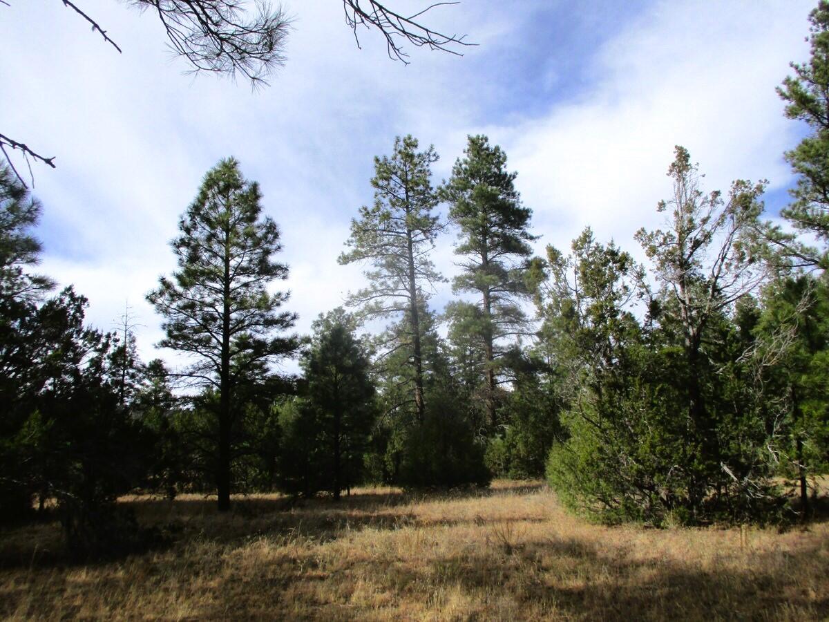 Lot 13 Culebra Drive, Ramah, New Mexico image 17