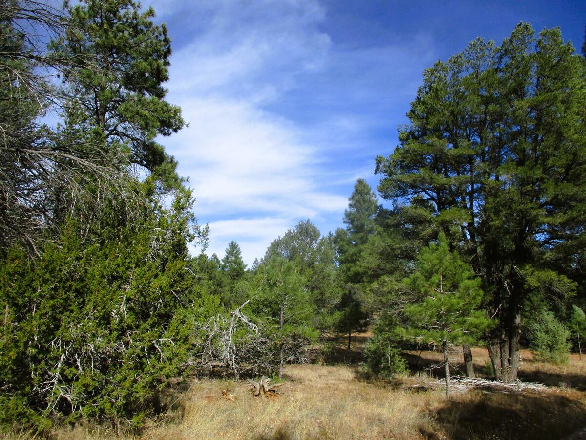 Lot 13 Culebra Drive, Ramah, New Mexico image 15