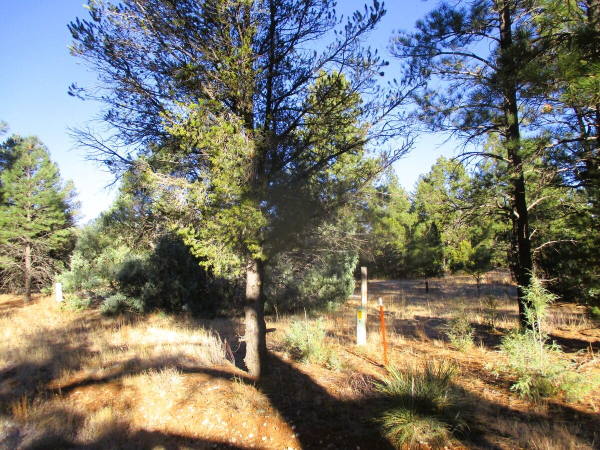 Lot 13 Culebra Drive, Ramah, New Mexico image 26