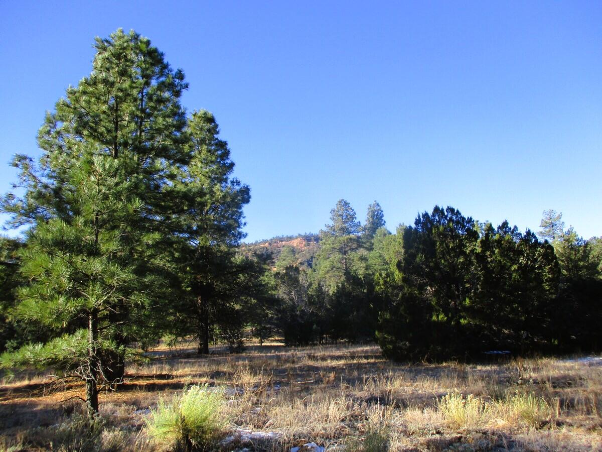 Lot 13 Culebra Drive, Ramah, New Mexico image 30