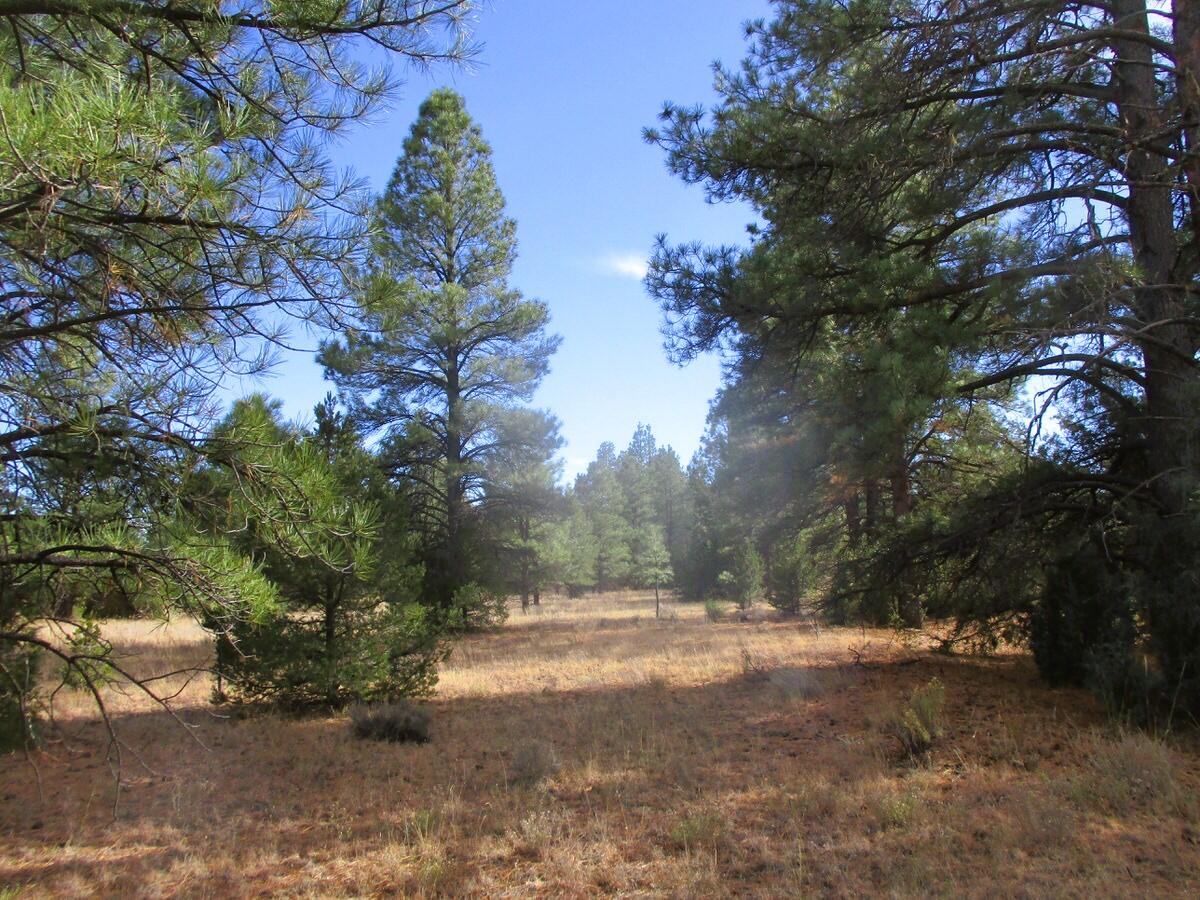 Lot 13 Culebra Drive, Ramah, New Mexico image 20