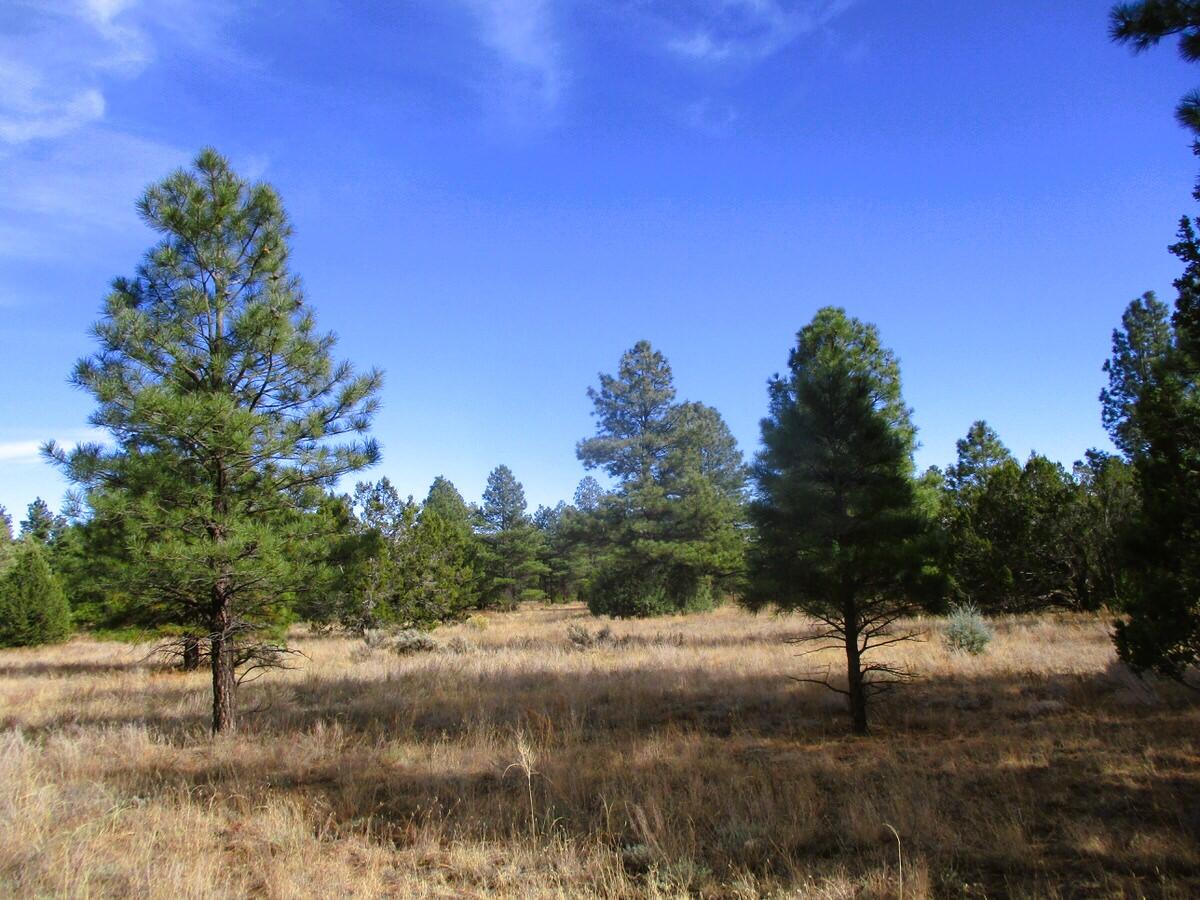 Lot 13 Culebra Drive, Ramah, New Mexico image 22