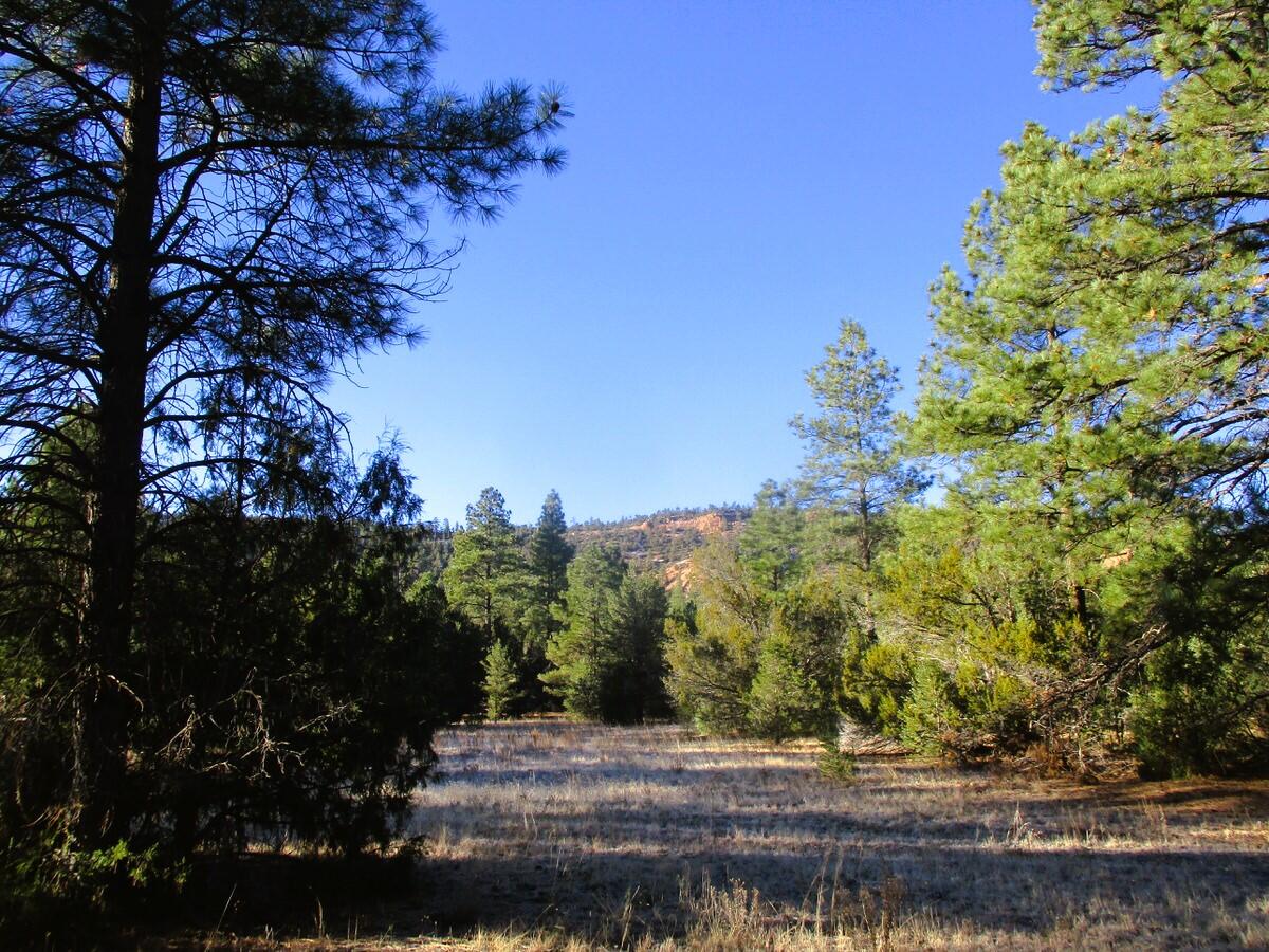 Lot 13 Culebra Drive, Ramah, New Mexico image 32