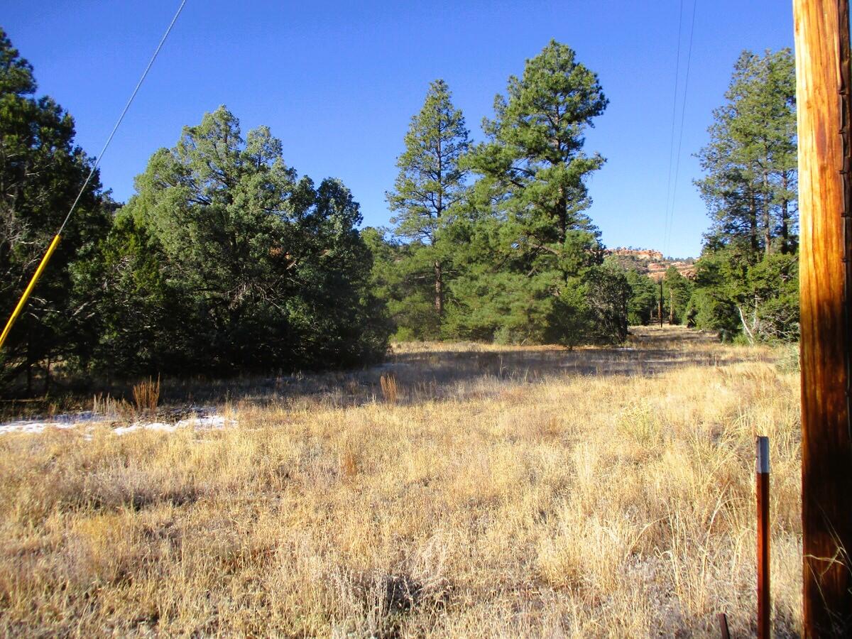 Lot 13 Culebra Drive, Ramah, New Mexico image 36