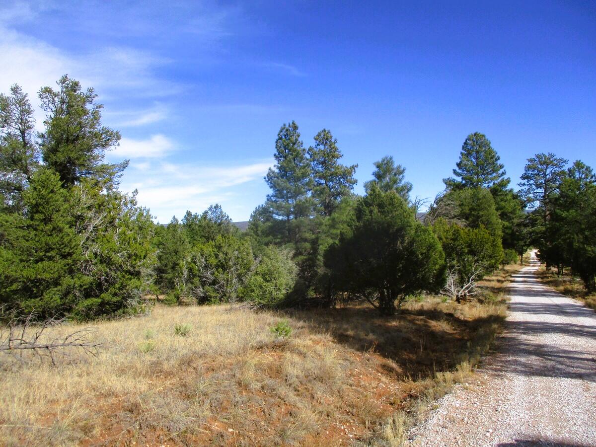 Lot 13 Culebra Drive, Ramah, New Mexico image 14