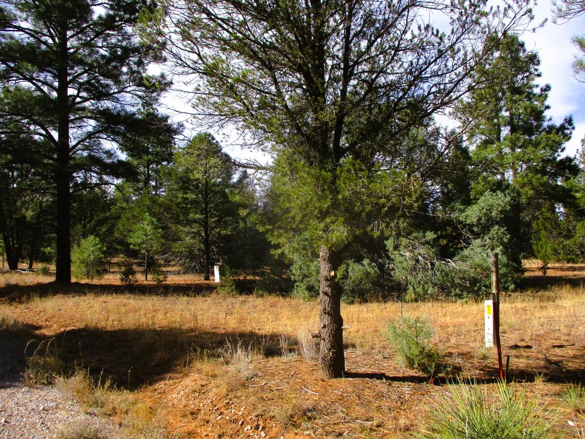 Lot 13 Culebra Drive, Ramah, New Mexico image 7