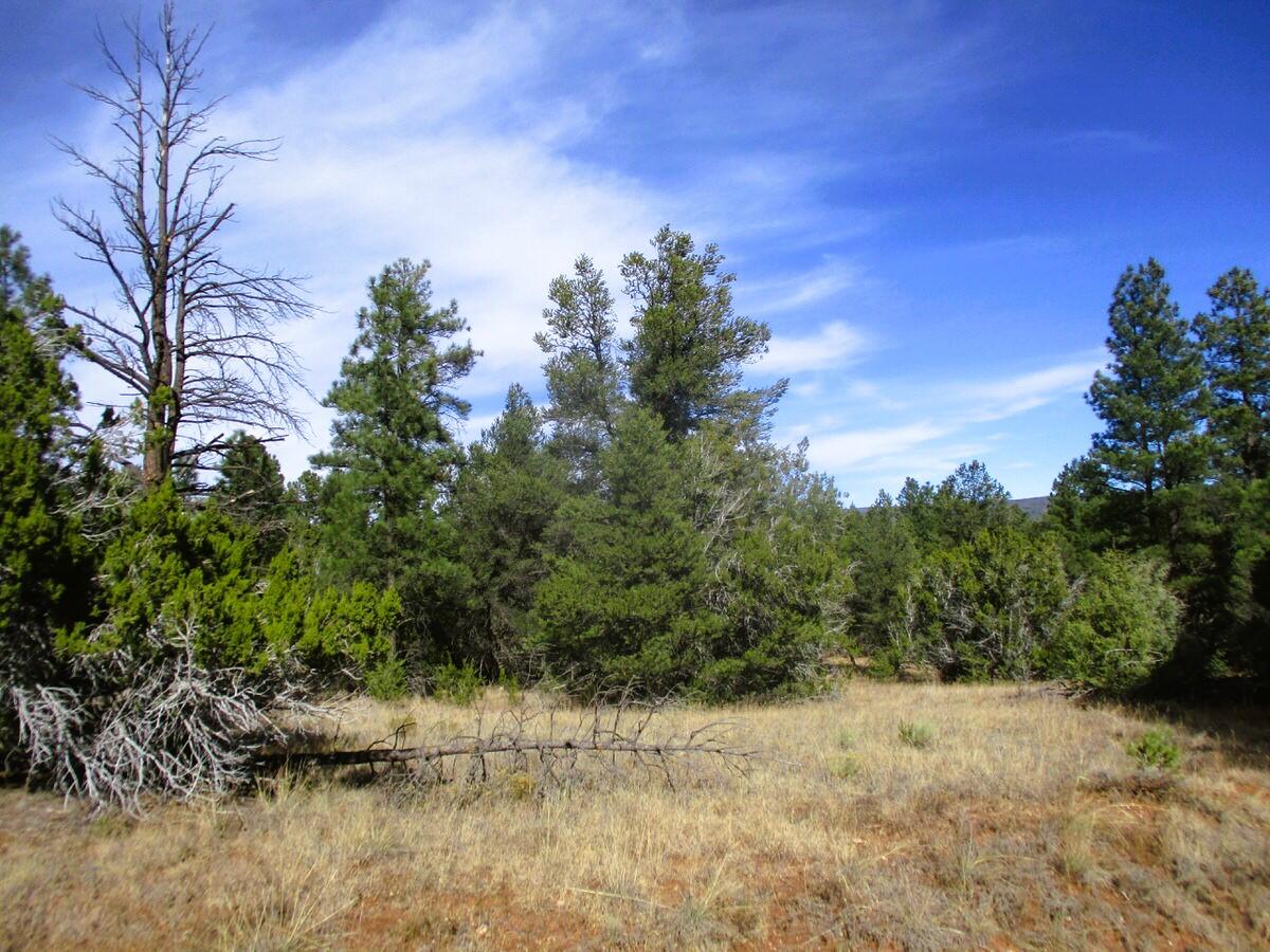 Lot 13 Culebra Drive, Ramah, New Mexico image 13