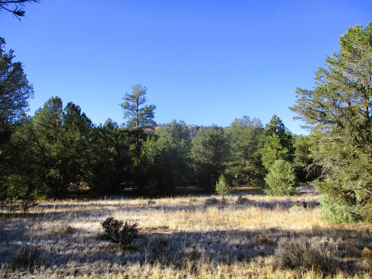 Lot 13 Culebra Drive, Ramah, New Mexico image 42