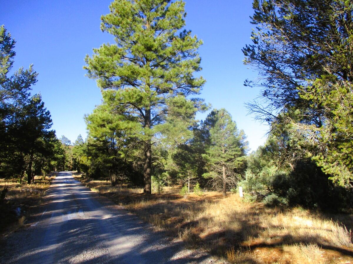 Lot 13 Culebra Drive, Ramah, New Mexico image 25