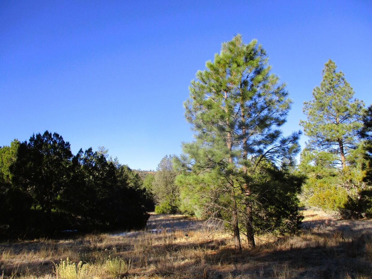 Lot 13 Culebra Drive, Ramah, New Mexico image 31