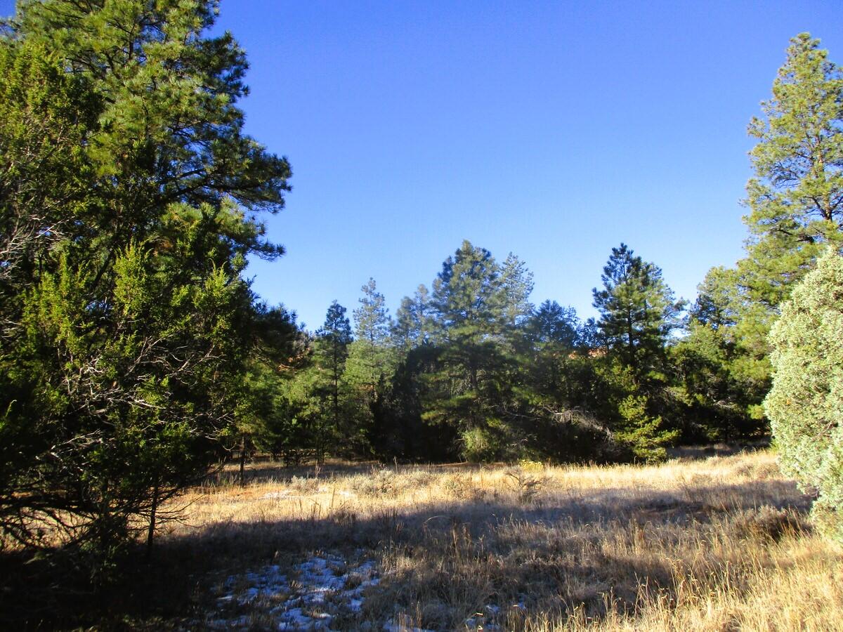 Lot 13 Culebra Drive, Ramah, New Mexico image 35