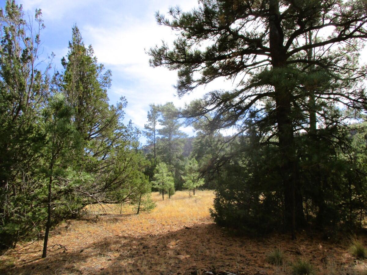 Lot 13 Culebra Drive, Ramah, New Mexico image 24