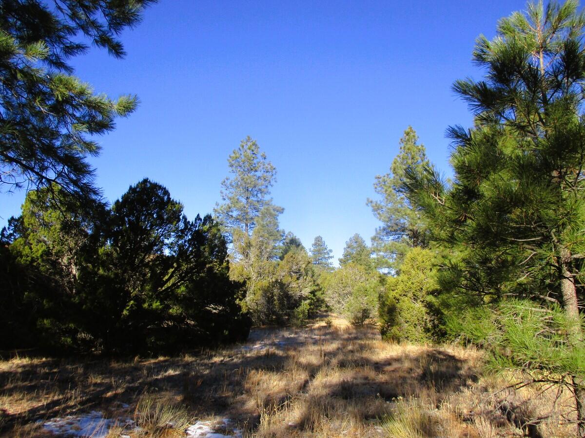 Lot 13 Culebra Drive, Ramah, New Mexico image 29