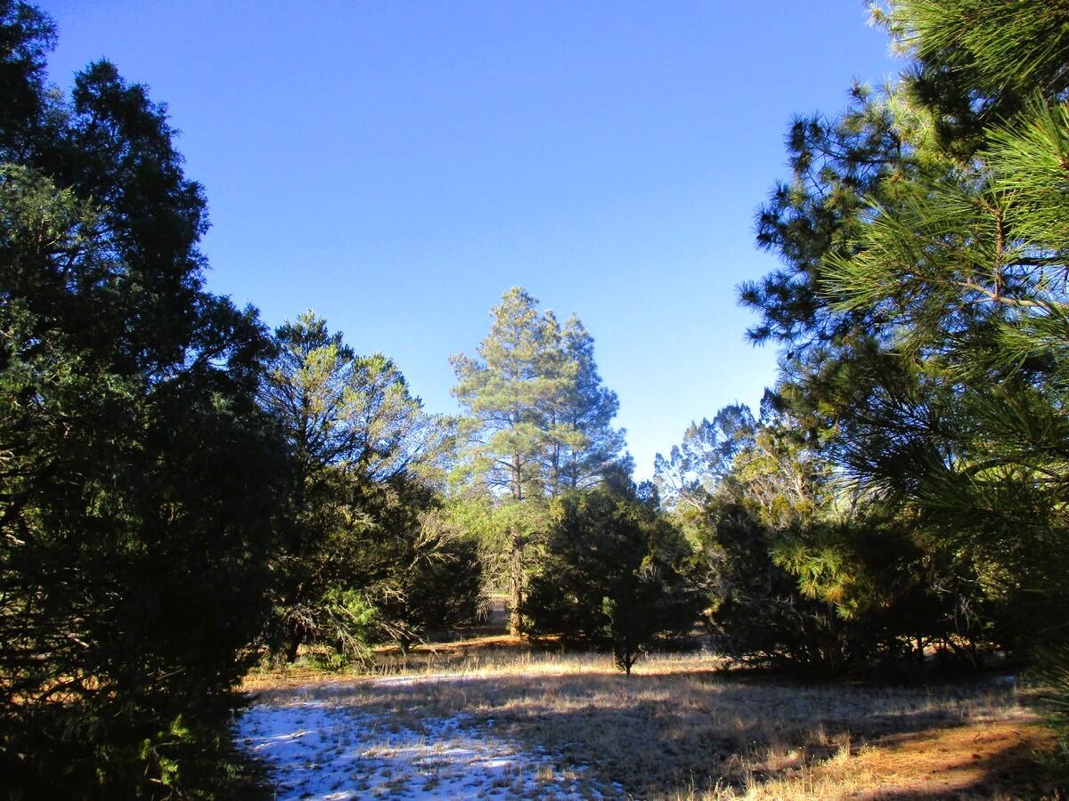 Lot 13 Culebra Drive, Ramah, New Mexico image 27