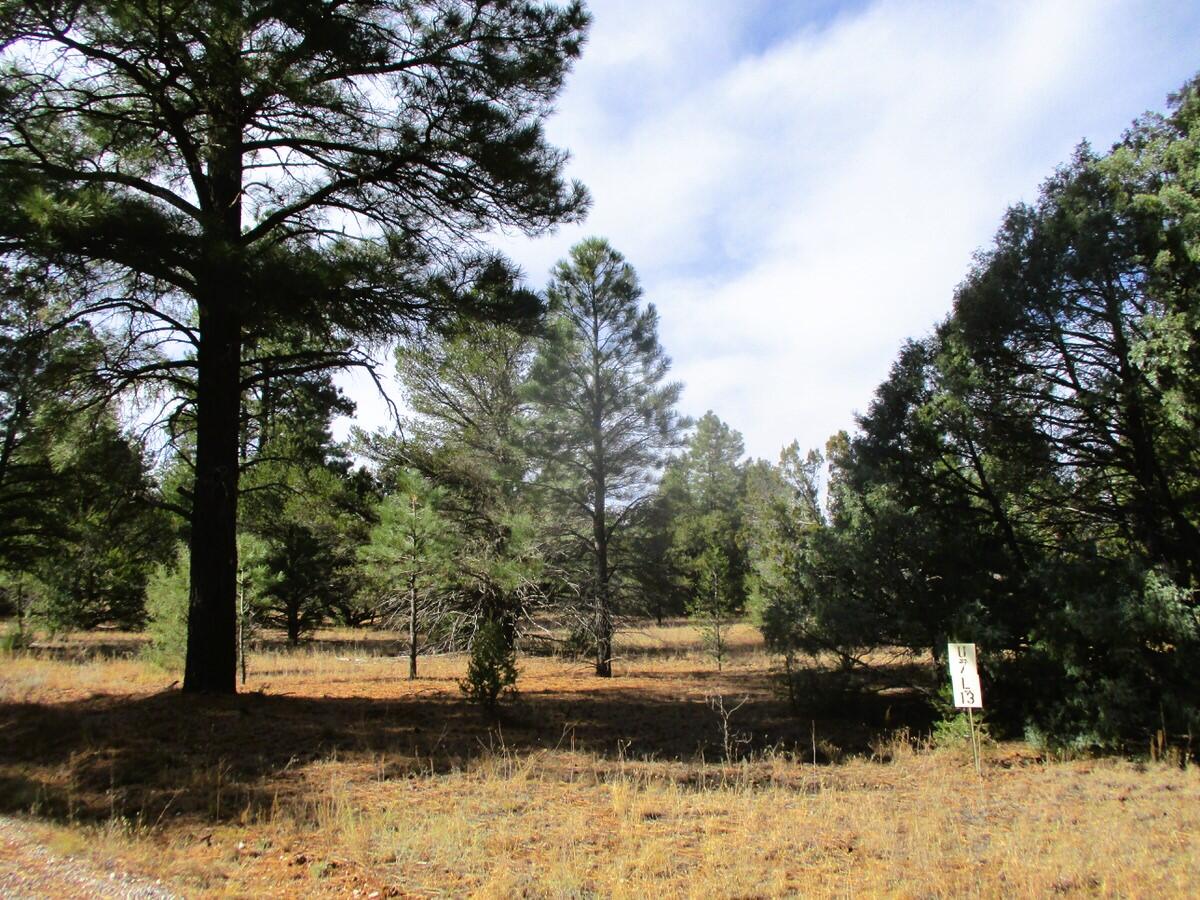 Lot 13 Culebra Drive, Ramah, New Mexico image 10