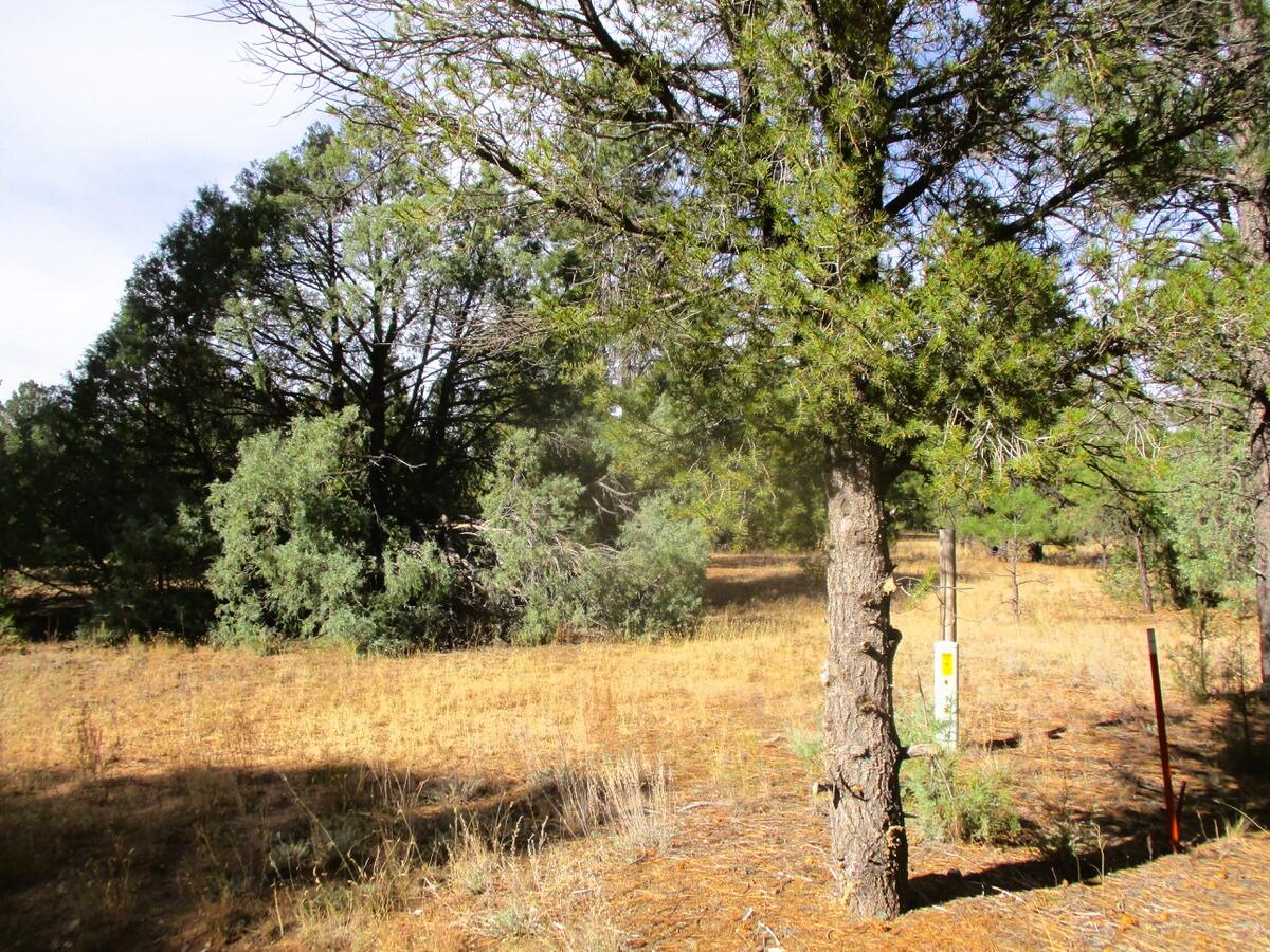 Lot 13 Culebra Drive, Ramah, New Mexico image 9