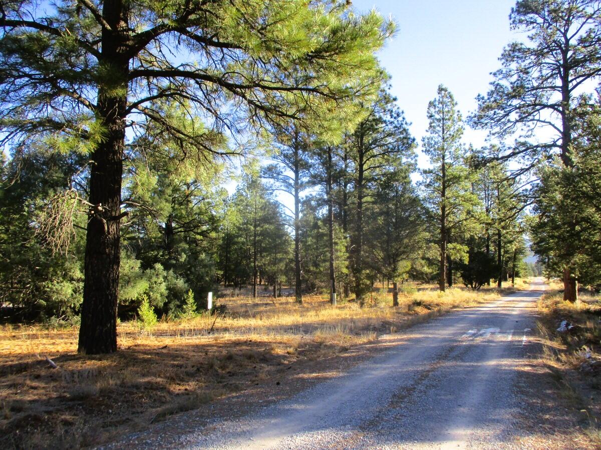 Lot 13 Culebra Drive, Ramah, New Mexico image 45