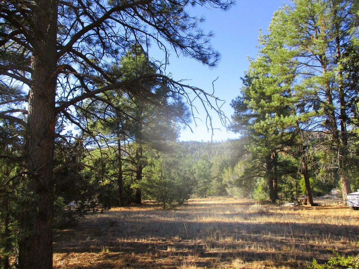 Lot 13 Culebra Drive, Ramah, New Mexico image 33