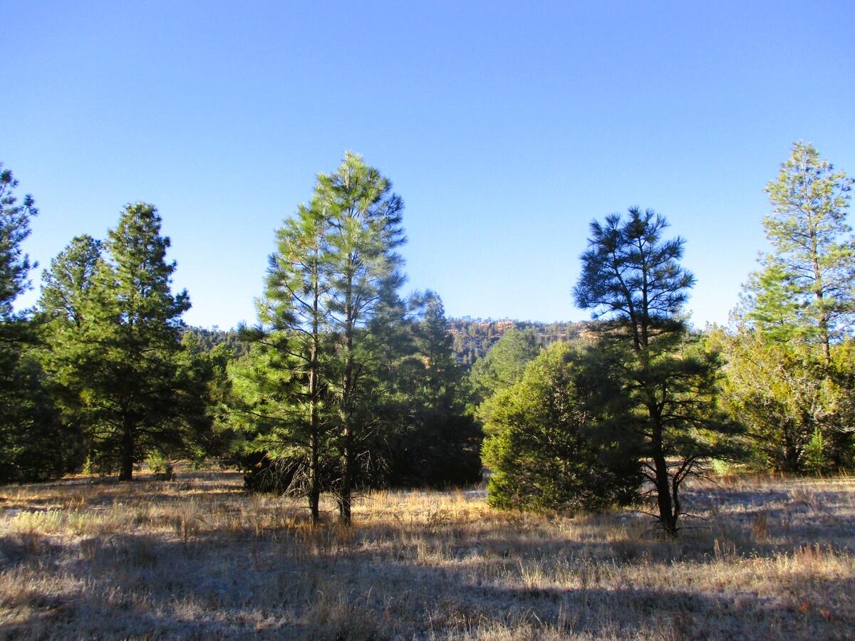 Lot 13 Culebra Drive, Ramah, New Mexico image 3