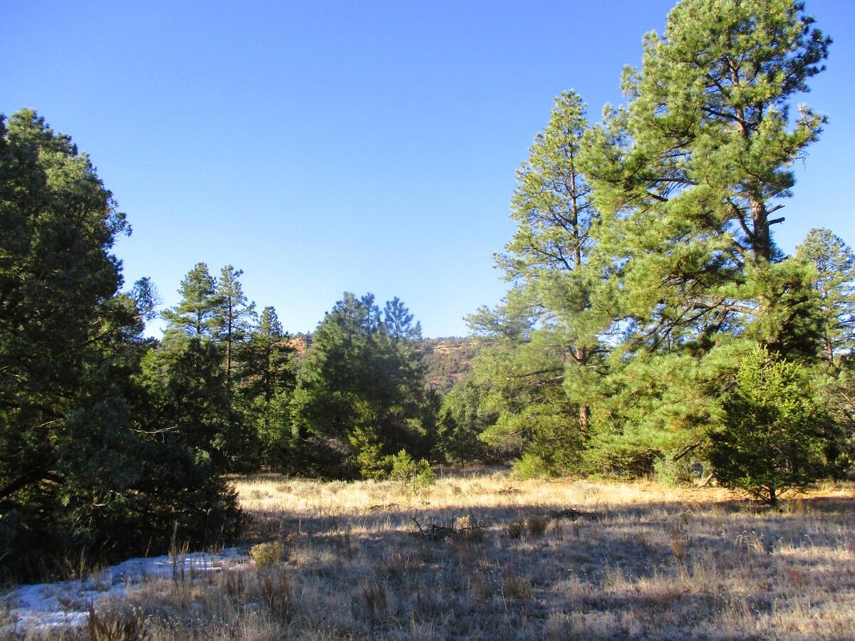 Lot 13 Culebra Drive, Ramah, New Mexico image 2