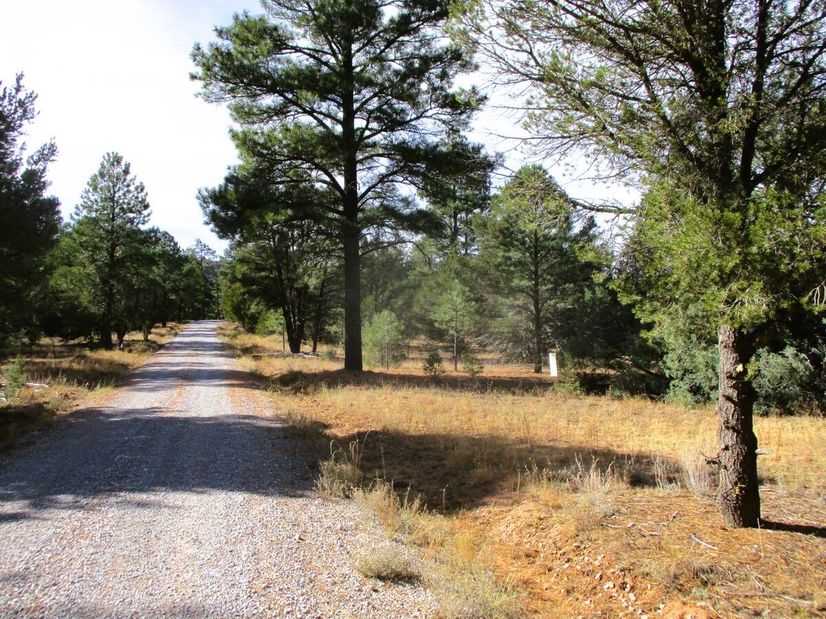 Lot 13 Culebra Drive, Ramah, New Mexico image 8